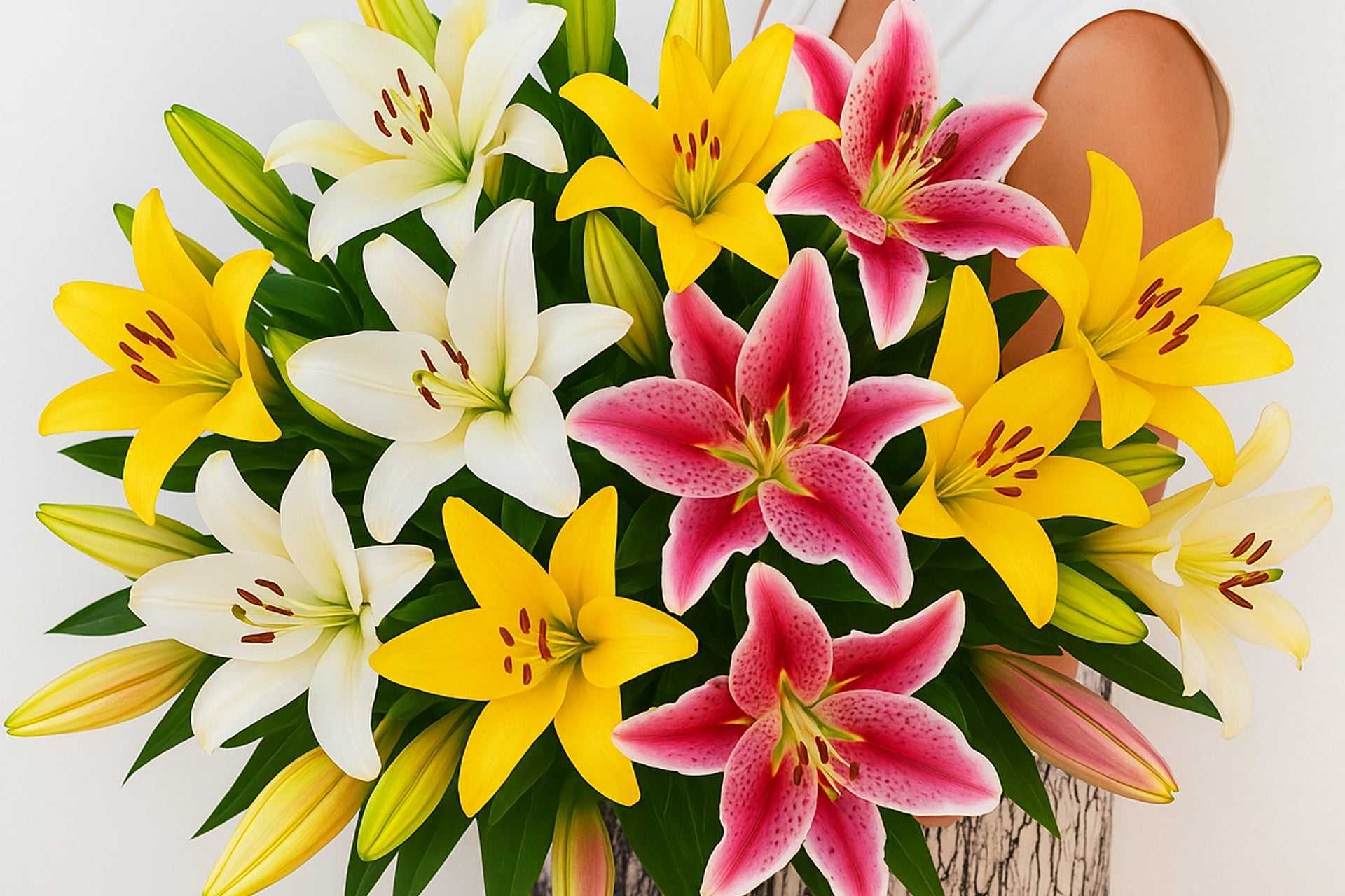 Lilies flowers in Pittsburgh, PA | Frankstown Garden – Local