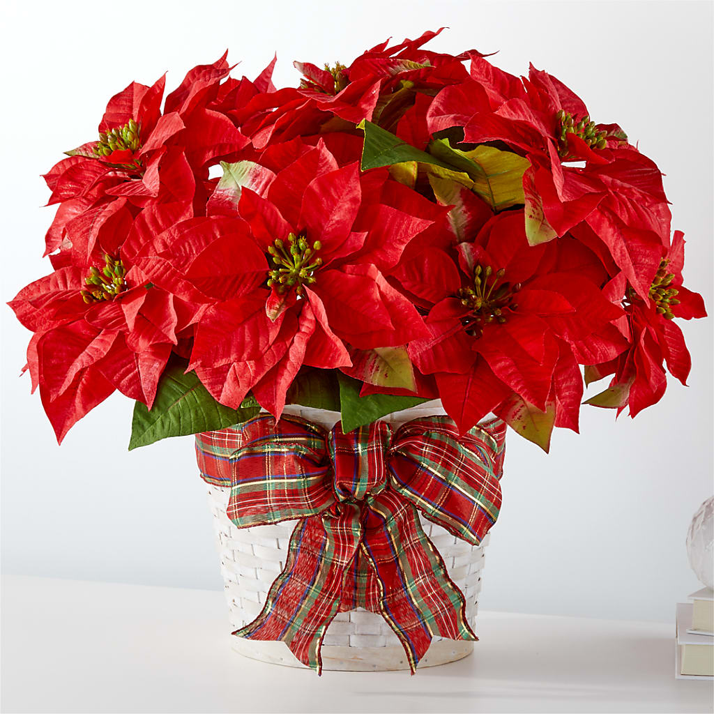Happiest Holidays Poinsettia – Frankstown Garden, Pittsburgh PA