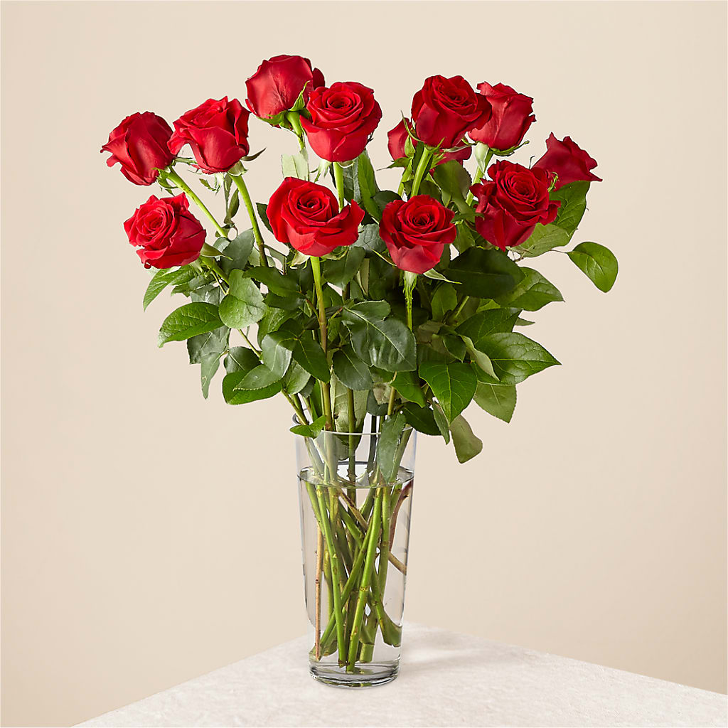 Long Stem Red Rose Bouquet – Frankstown Garden, Pittsburgh PA