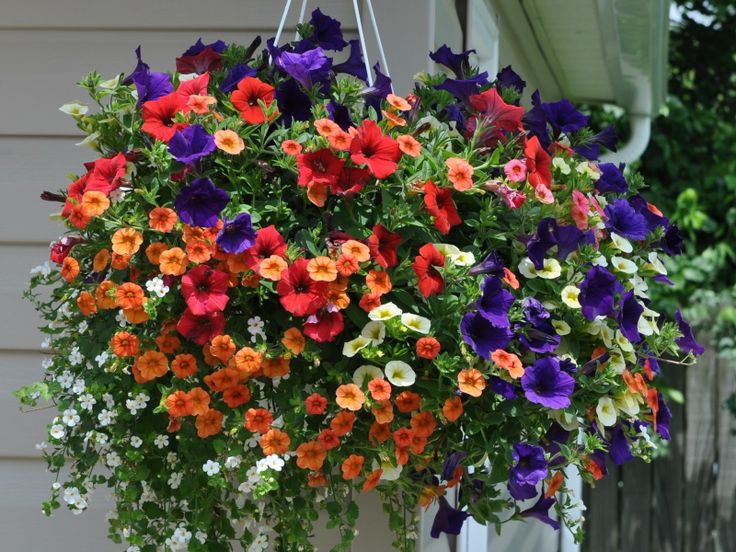 Hanging Baskets – Frankstown Garden, Pittsburgh PA