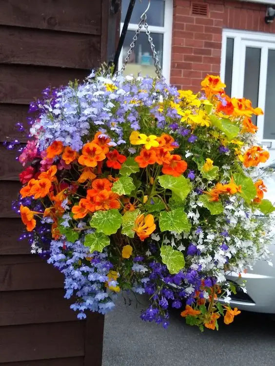 Hanging Baskets – Frankstown Garden, Pittsburgh PA