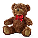 Adorable Plush Bear – Frankstown Garden, Pittsburgh PA