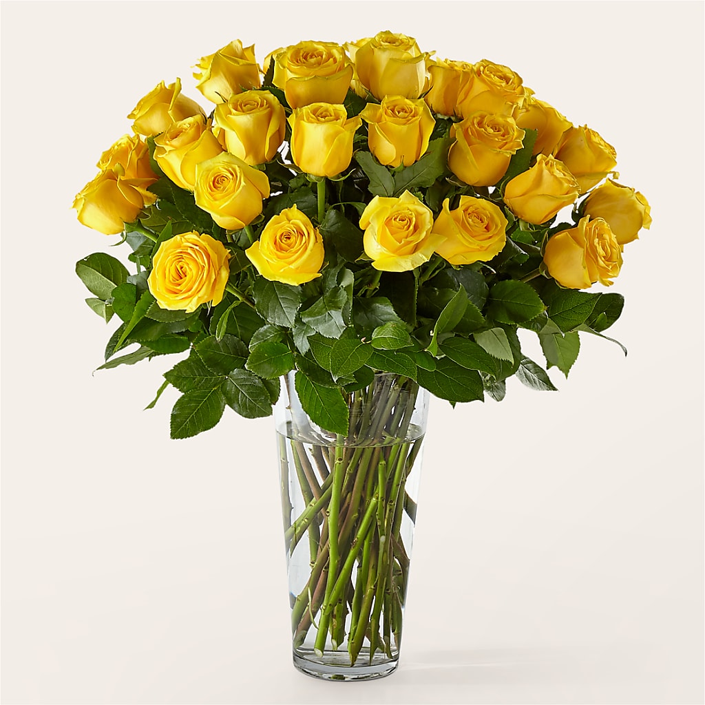 Long Stem Yellow Rose Bouquet – Frankstown Garden, Pittsburgh PA