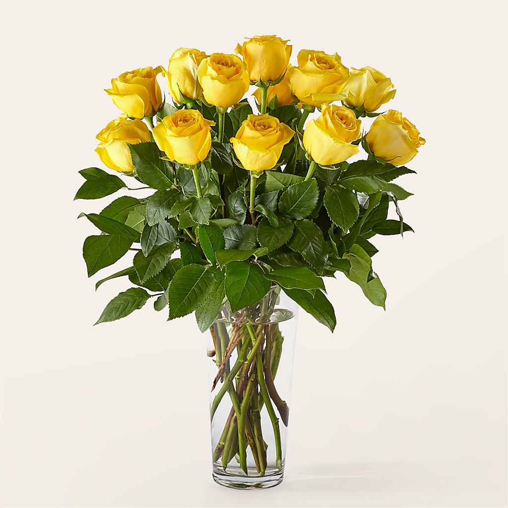 Long Stem Yellow Rose Bouquet – Frankstown Garden, Pittsburgh PA