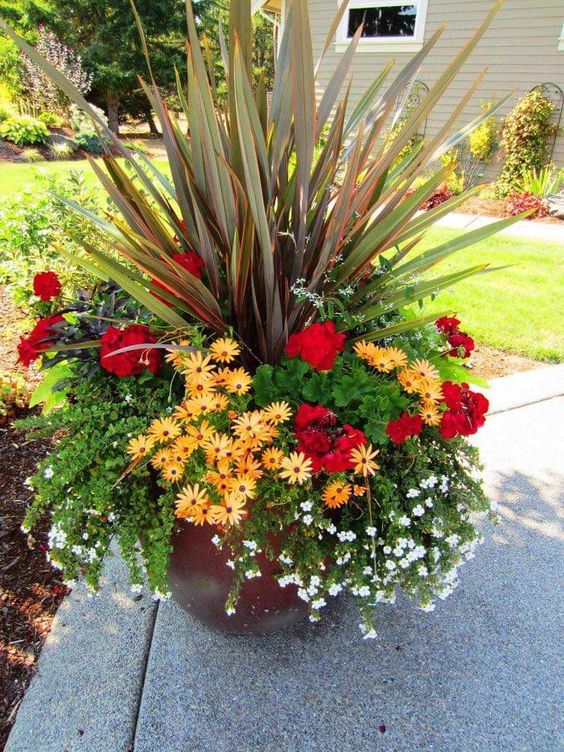 Patio Pots