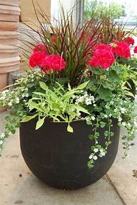Patio Pots