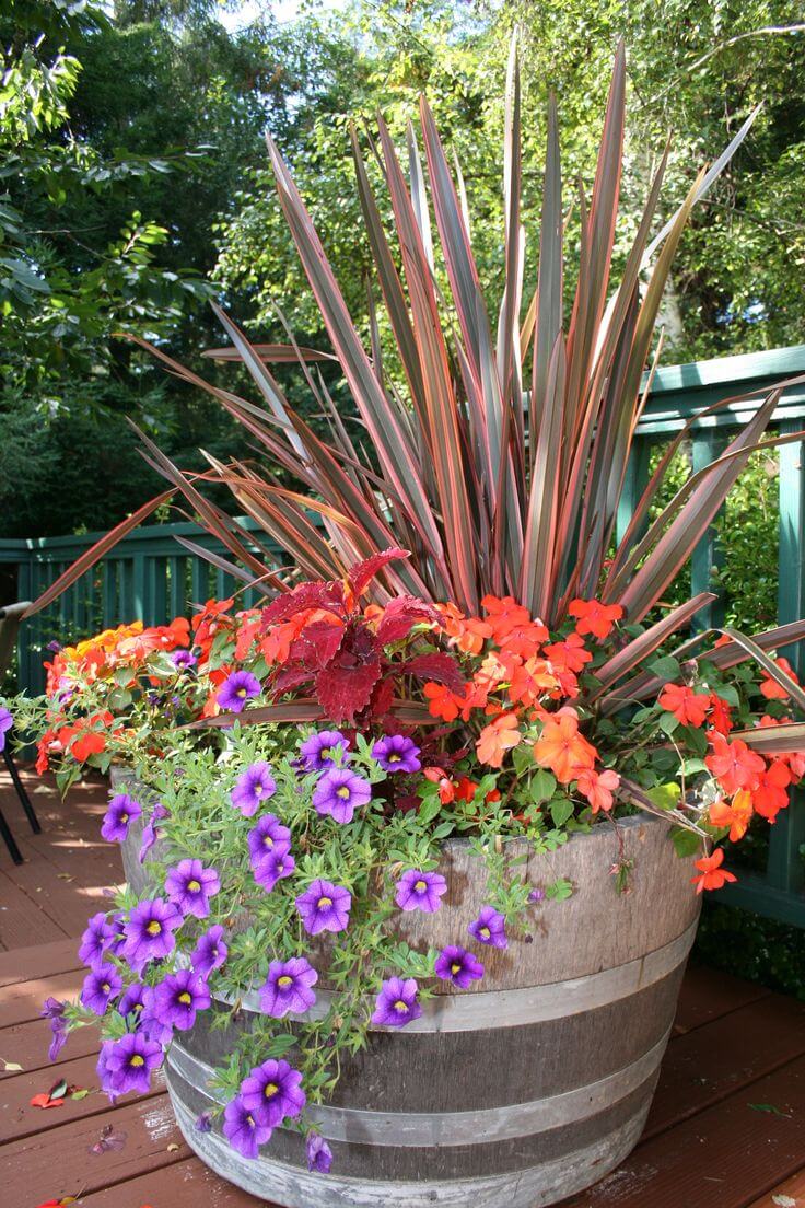 Patio Pots