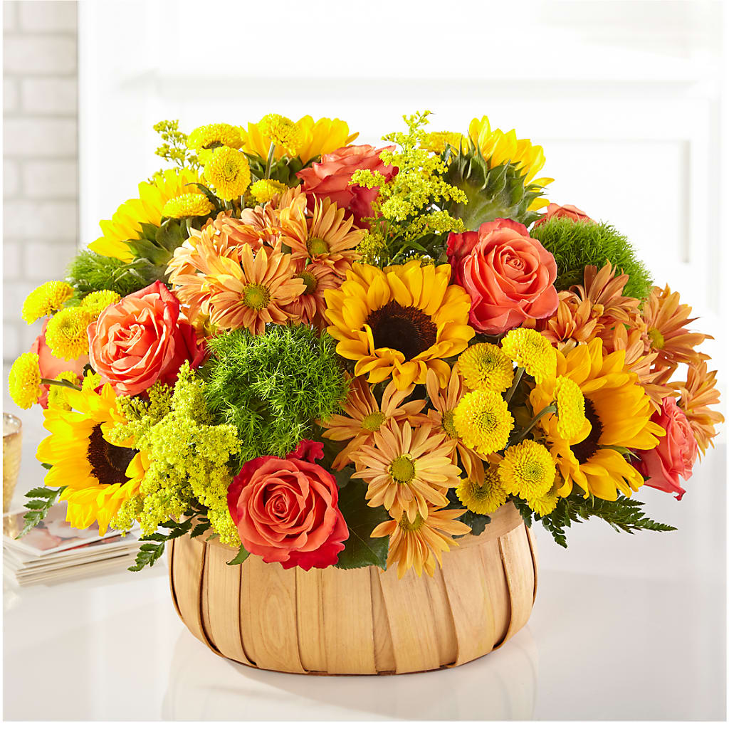 Harvest Sunflower Basket – Frankstown Garden, Pittsburgh PA