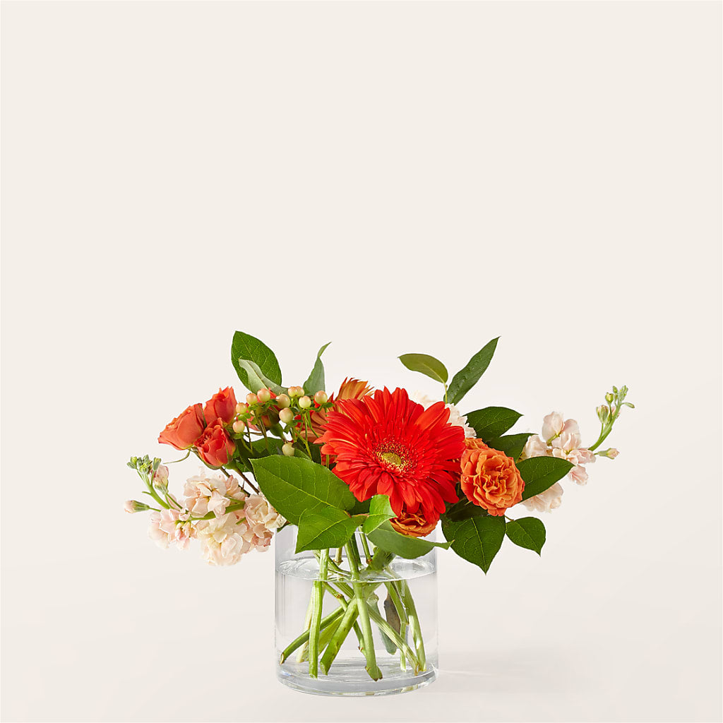 Paloma Please Bouquet – Frankstown Garden, Pittsburgh PA