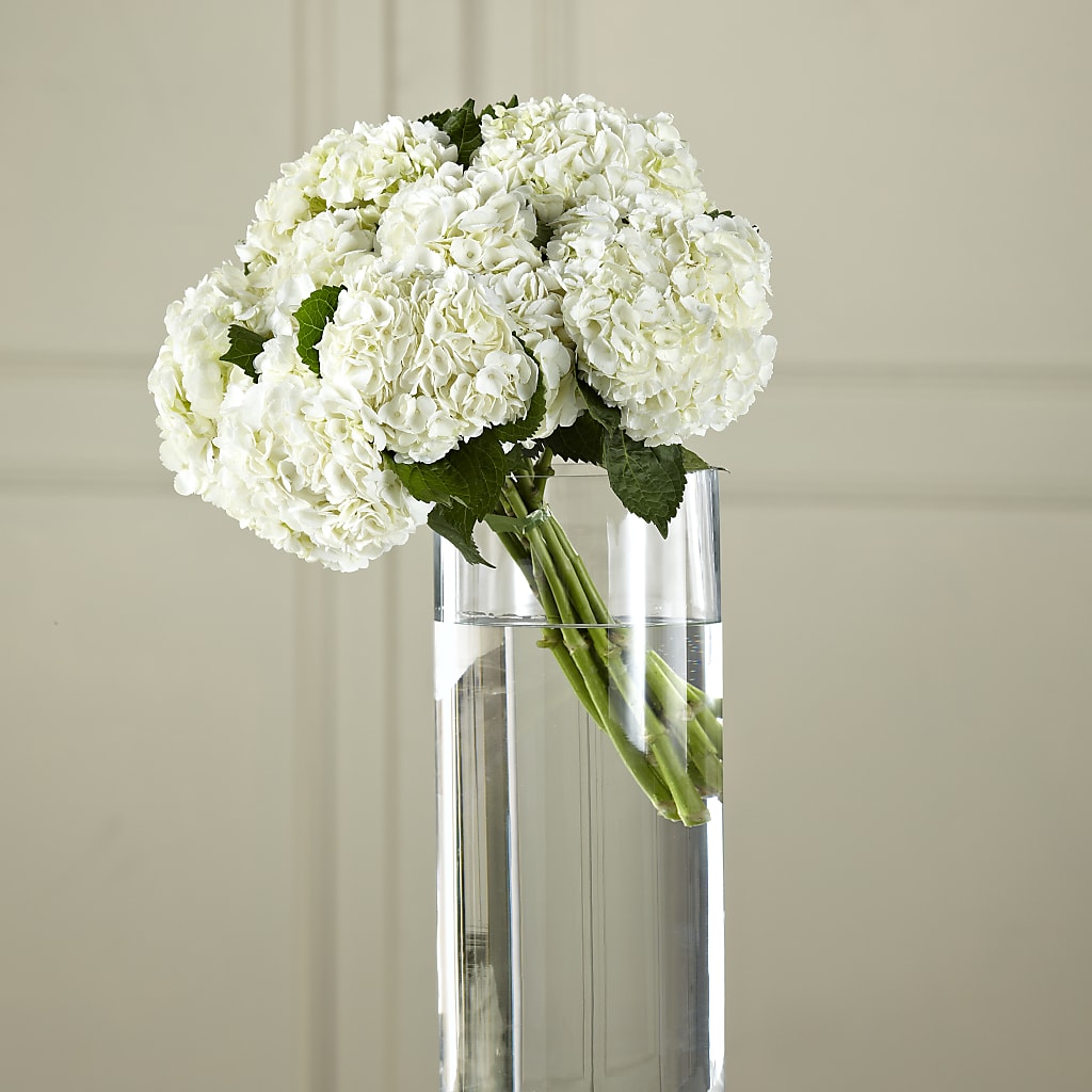 White Hydrangea Hand-Tied Bouquet – Frankstown Garden, Pittsburgh PA