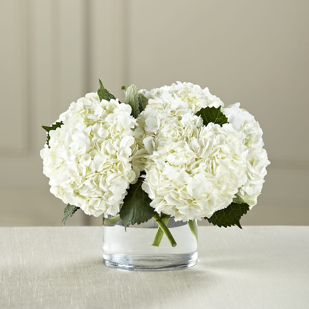 White Hydrangea Bouquet – Frankstown Garden, Pittsburgh PA