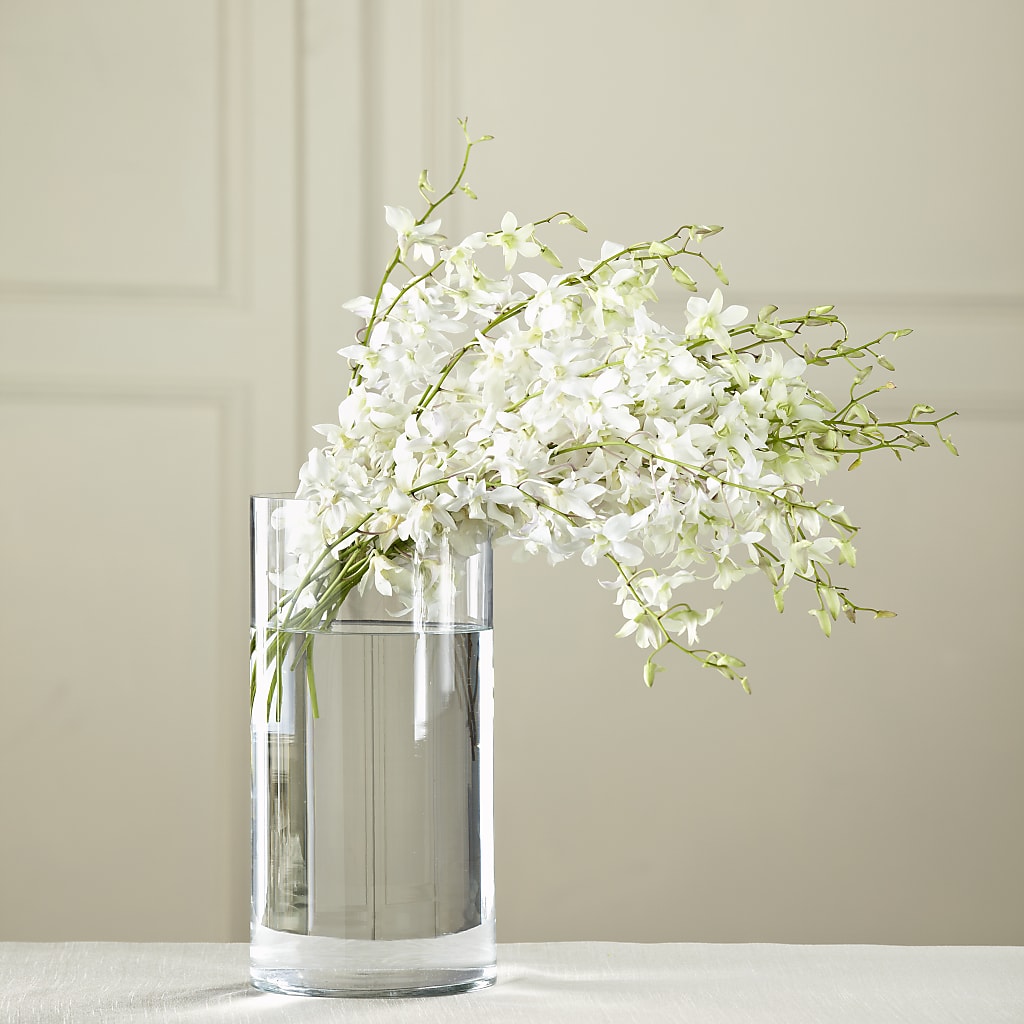 White Dendrobium Bouquet – Frankstown Garden, Pittsburgh PA
