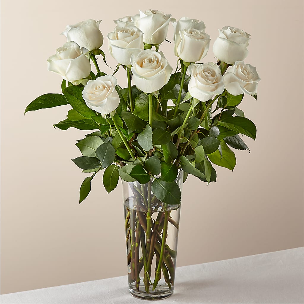 Long Stem White Rose Bouquet –  Frankstown Garden, Pittsburgh PA