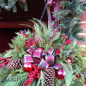 xmas hanging basket –  Frankstown Garden, Pittsburgh PA
