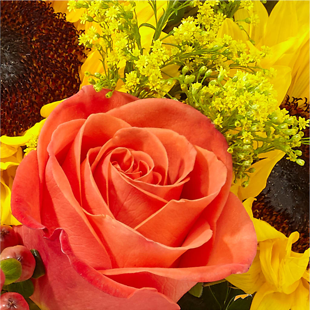 Pick of the Patch Pumpkin Bouquet –  Frankstown Garden, Pittsburgh PA