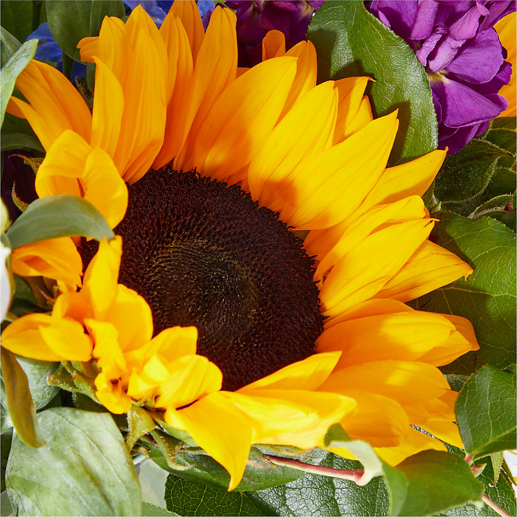 Catching Rays Bouquet –  Frankstown Garden, Pittsburgh PA