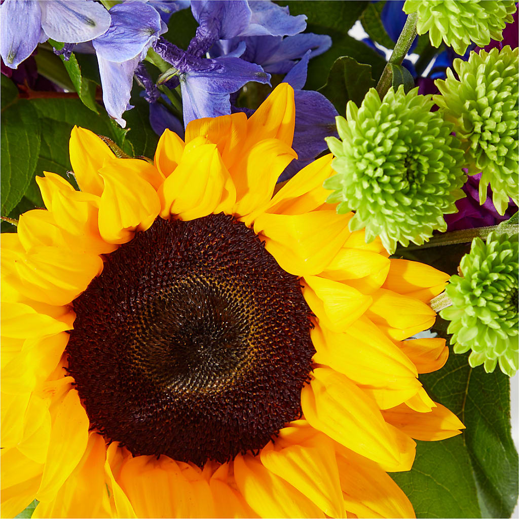 Catching Rays Bouquet –  Frankstown Garden, Pittsburgh PA