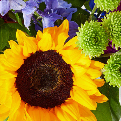 Catching Rays Bouquet –  Frankstown Garden, Pittsburgh PA