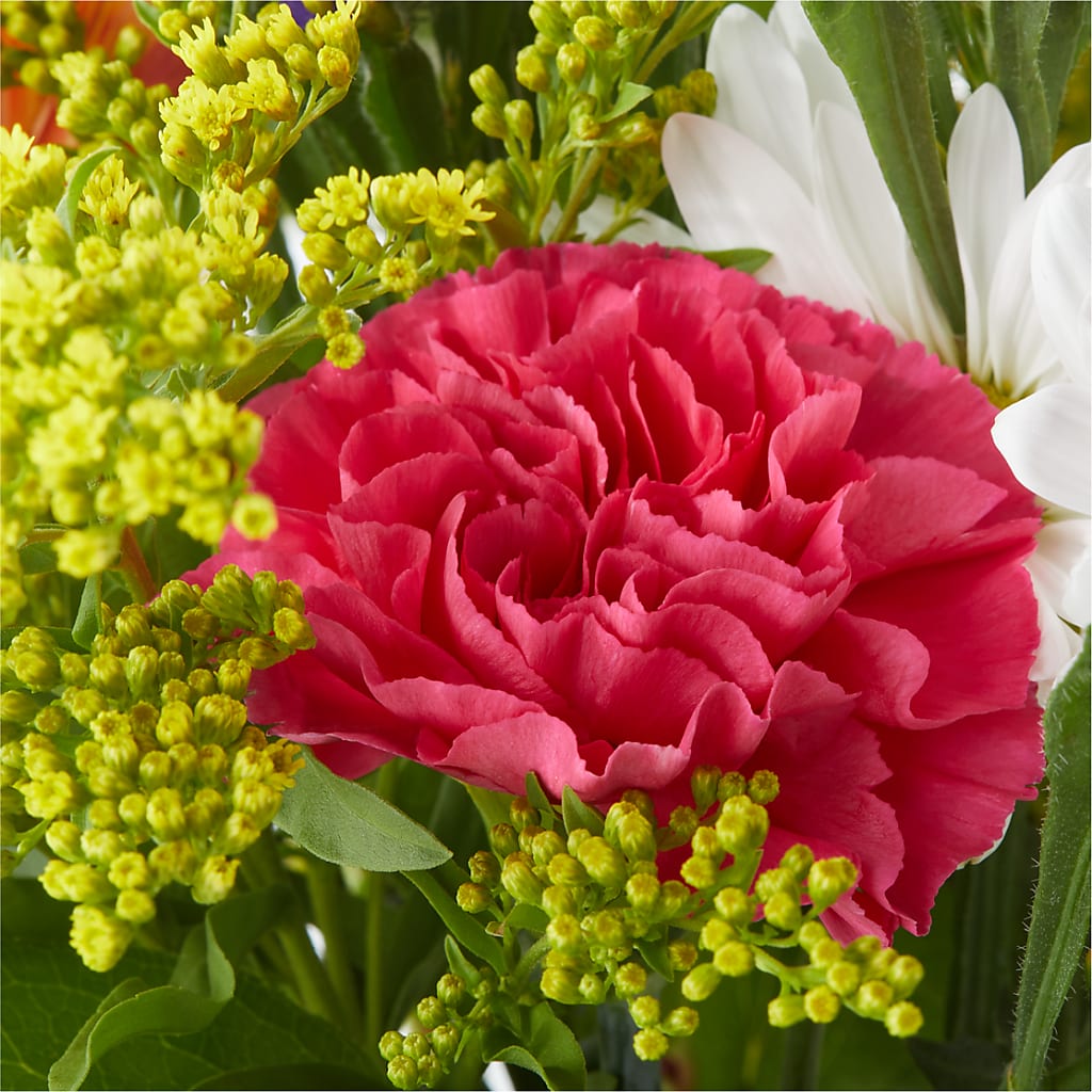 Oopsie Daisy Bouquet –  Frankstown Garden, Pittsburgh PA