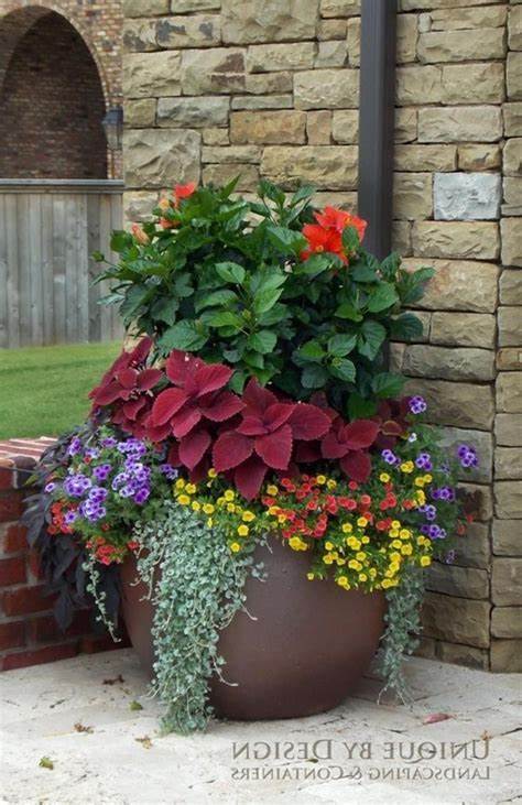 Patio Pots