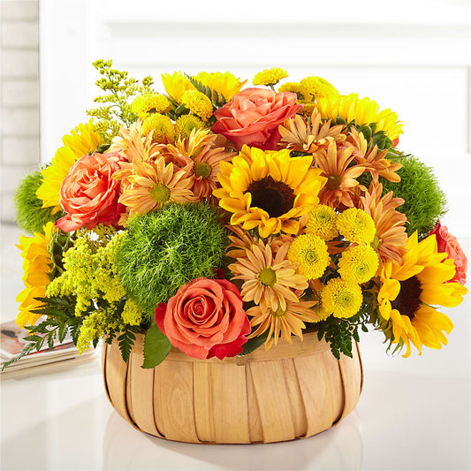 Harvest Sunflower Basket –  Frankstown Garden, Pittsburgh PA