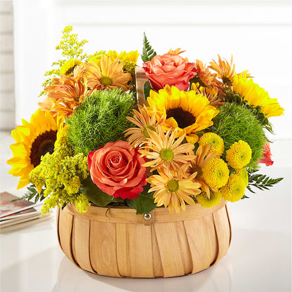 Harvest Sunflower Basket –  Frankstown Garden, Pittsburgh PA