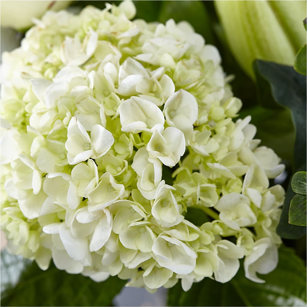 Classic Ivory – A Florist Original –  Frankstown Garden, Pittsburgh PA