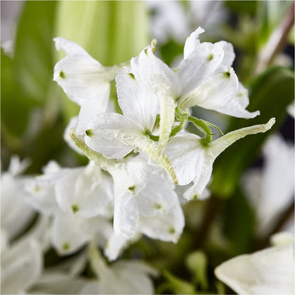 Classic Ivory – A Florist Original –  Frankstown Garden, Pittsburgh PA