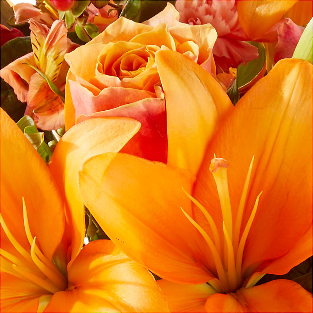 Afternoon Light Bouquet –  Frankstown Garden, Pittsburgh PA