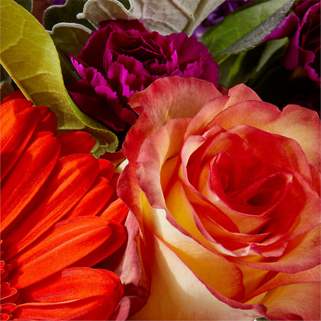 Sangria Bouquet –  Frankstown Garden, Pittsburgh PA