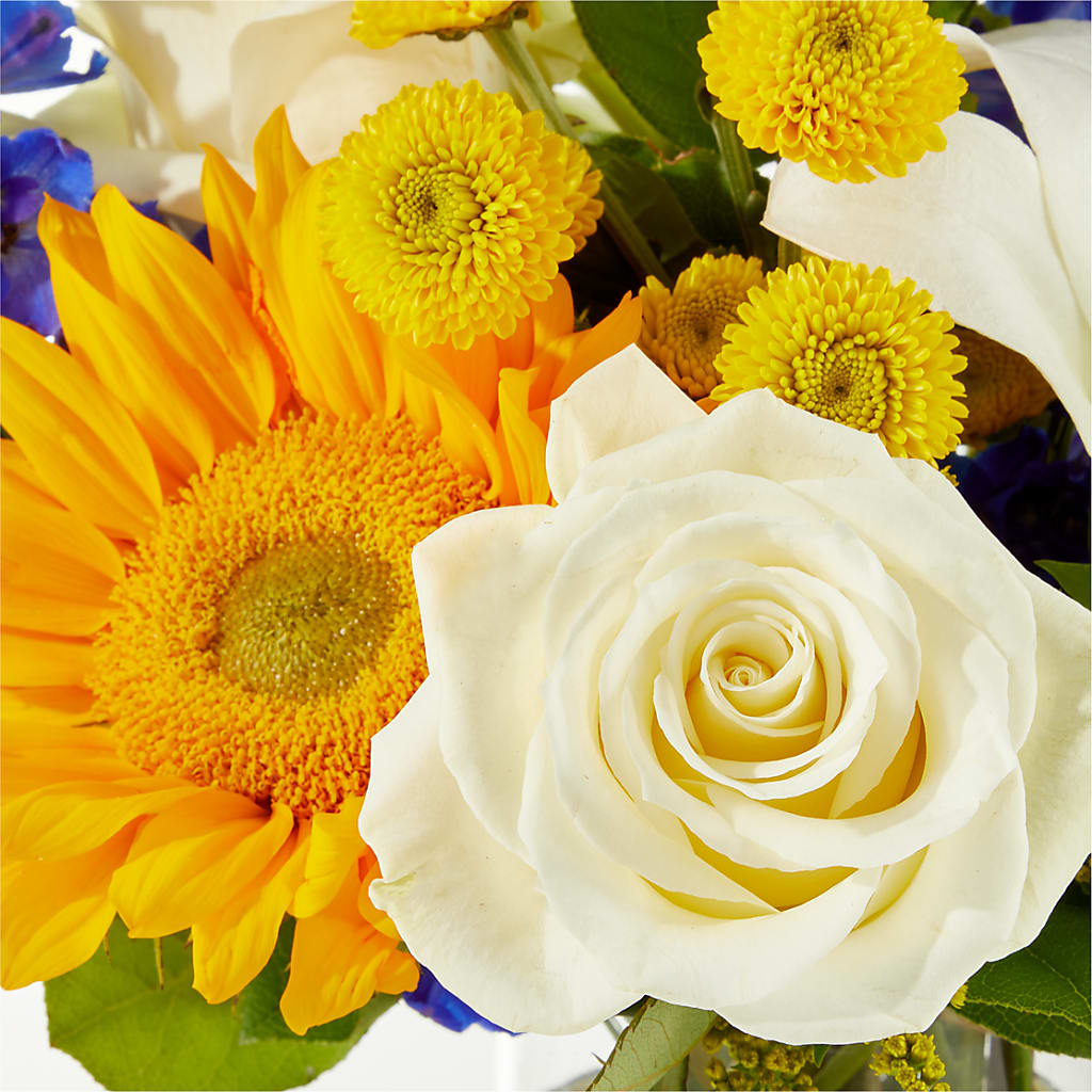 Stargazing Bouquet –  Frankstown Garden, Pittsburgh PA