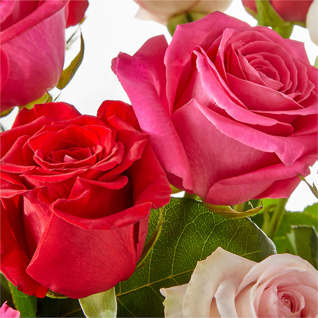 Charming Rose Bouquet –  Frankstown Garden, Pittsburgh PA