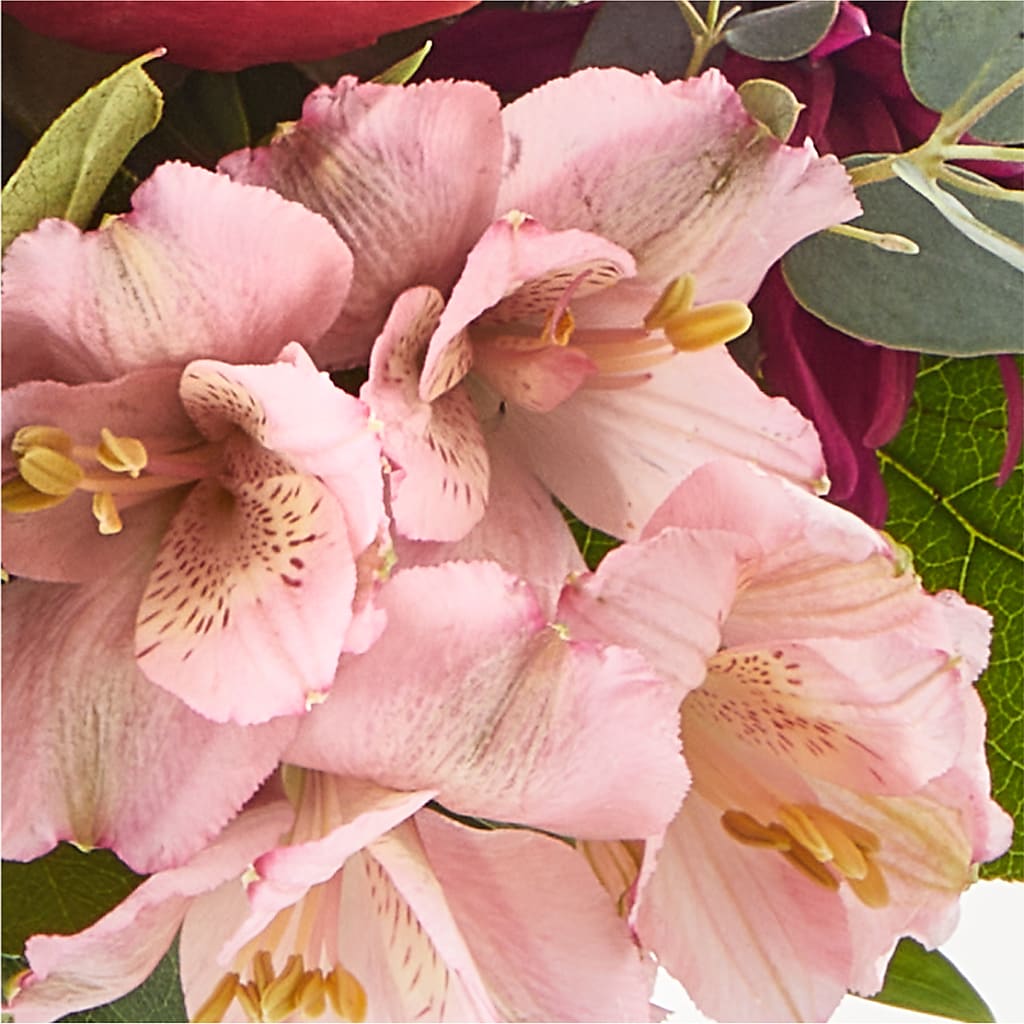 Berry Cobbler Bouquet –  Frankstown Garden, Pittsburgh PA