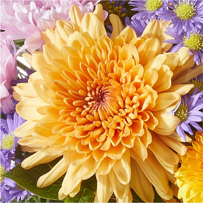 Countryside Bouquet –  Frankstown Garden, Pittsburgh PA