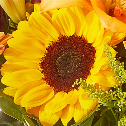Seasons Change Bouquet –  Frankstown Garden, Pittsburgh PA