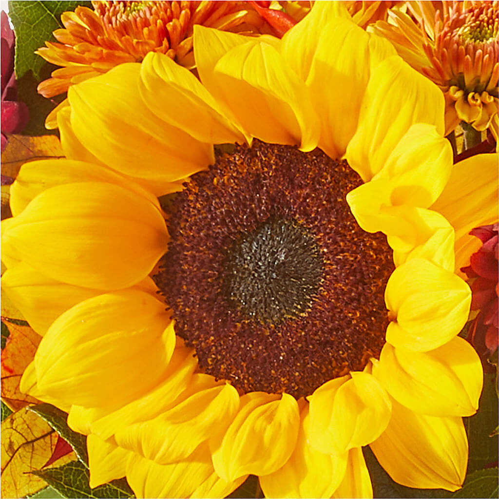 Sunny Side Bouquet –  Frankstown Garden, Pittsburgh PA