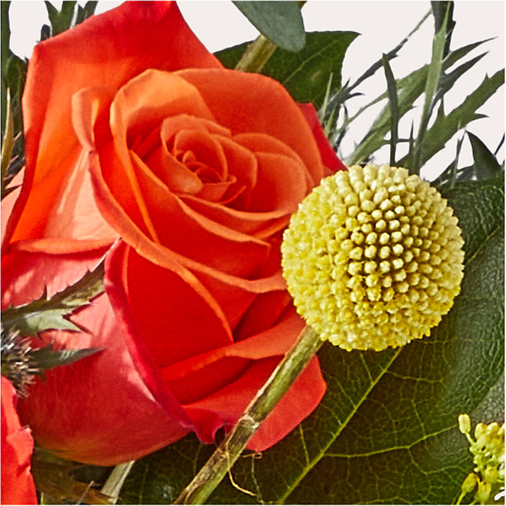 Disco Bouquet –  Frankstown Garden, Pittsburgh PA