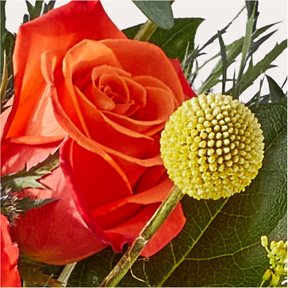 Disco Bouquet –  Frankstown Garden, Pittsburgh PA