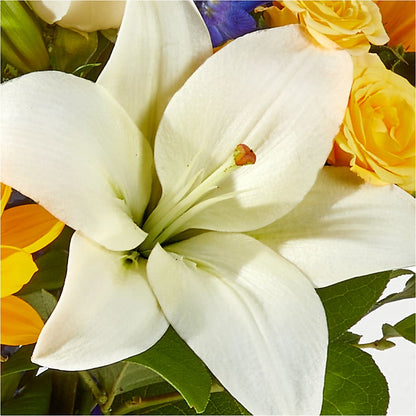 Wonderfully Sunny Bouquet –  Frankstown Garden, Pittsburgh PA