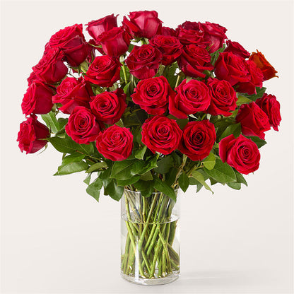 The One Red Rose Bouquet –  Frankstown Garden, Pittsburgh PA