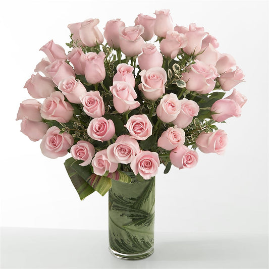 Pink Essence –  Frankstown Garden, Pittsburgh PA